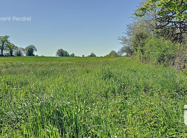 Allaire, Brittany 56350