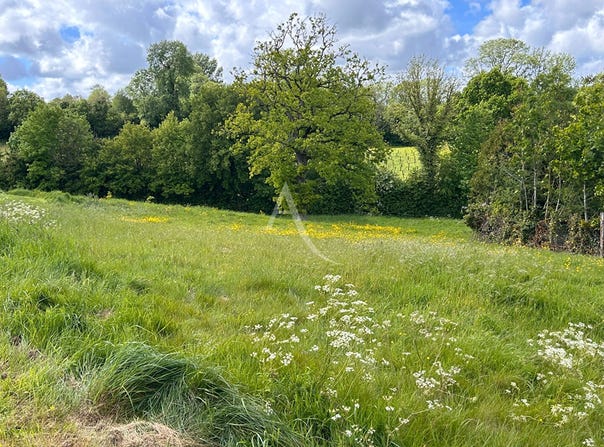 PREURES, Hauts-de-France 62650