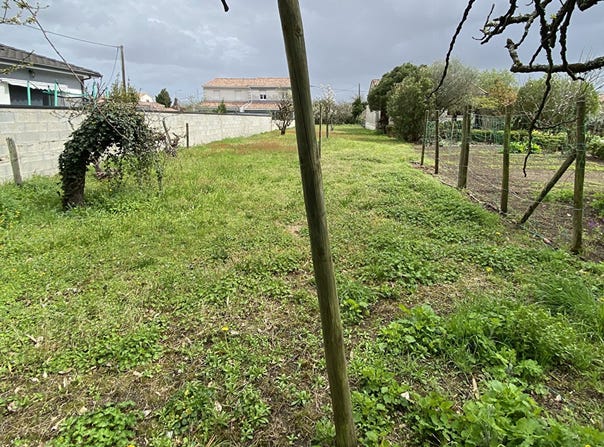libourne, Nouvelle-Aquitaine 33500