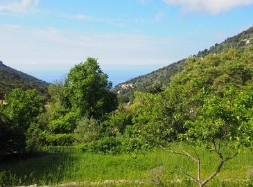 La Turbie, Provence-Alpes-Côte d'Azur 06320