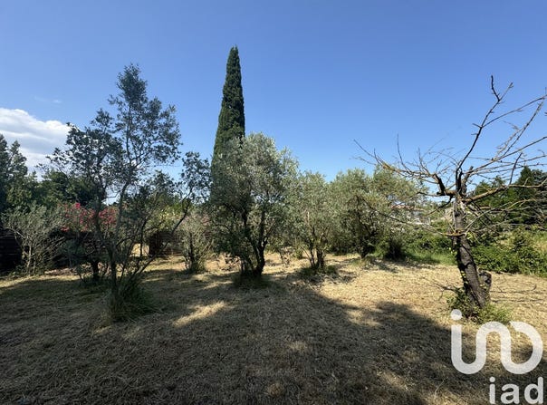 Saint-Rémy-de-Provence, Provence-Alpes-Côte d'Azur 13210