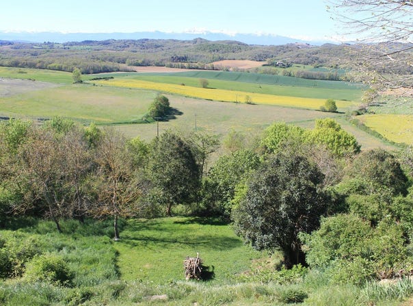 Saint-Julien-de-Briola, Languedoc-Roussillon 11270