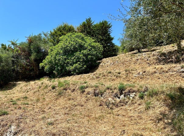 Falicon, Provence-Alpes-Côte d'Azur 06950