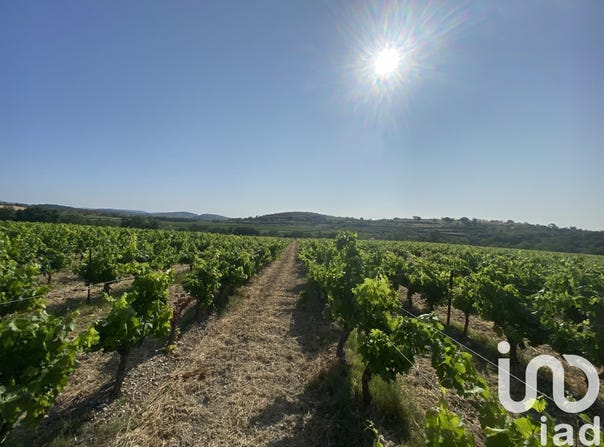Pouzolles, Occitanie 34480