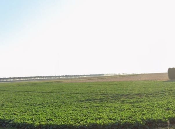 Mesnil-Sellières, Grand Est 10220