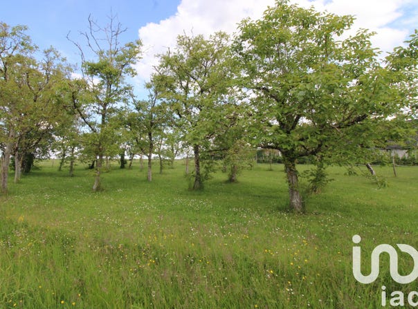 Monteaux, Centre-Val de Loire 41150