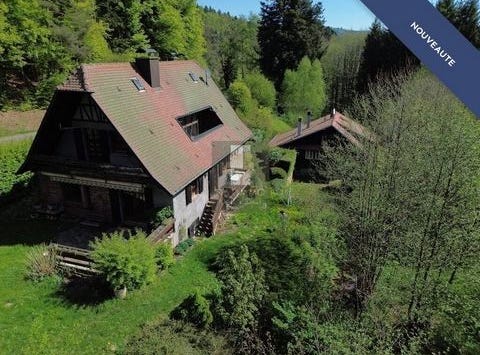 route du Kreutzweg, Le Hohwald, Alsace 67140