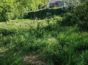 Bussac-Sur-Charente, Poitou-Charentes 17100