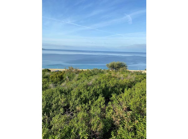 Saint-Florent, Haute-Corse 20217