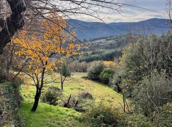 SAINT JULIEN, Occitanie 34390