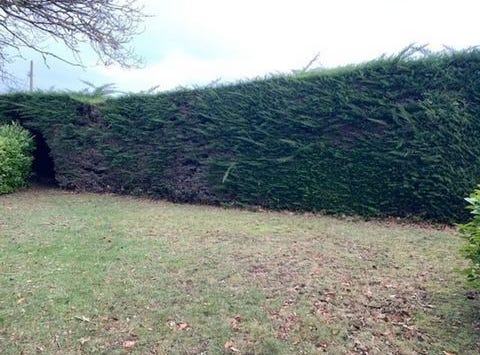 LES HOPITAUX, Bretagne 22430
