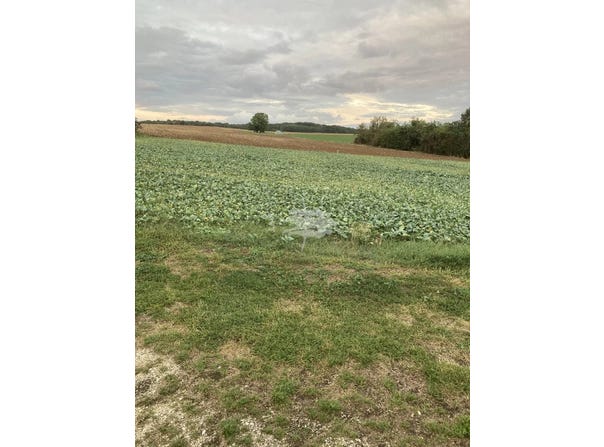 Dijon, Côte-d'Or 21000