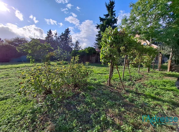 Logelbach, LOGELBACH, Grand Est 68124