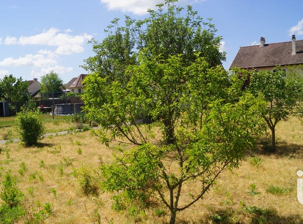 Guécèlard, Pays de la Loire 72220