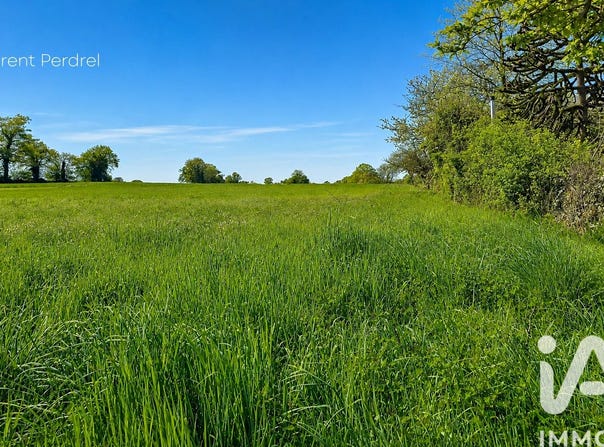Allaire, Brittany 56350
