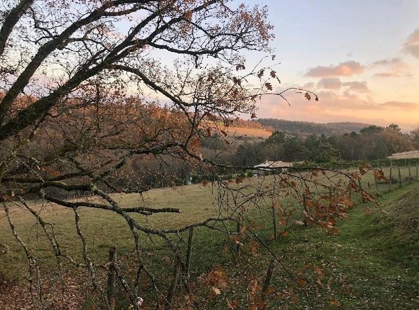 Trélissac, Dordogne 24750