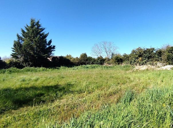 Pouillé, Pays de la Loire 85570