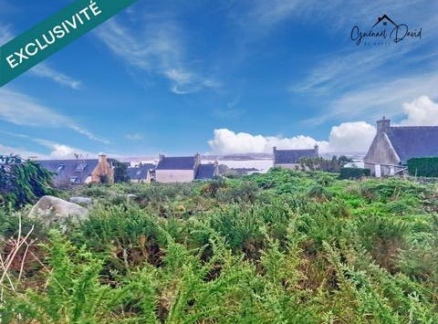 Ile-De-Batz, Bretagne 29253