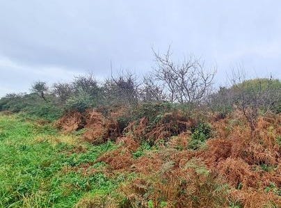 CROZON, Bretagne 29160