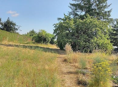 Châteauroux, Centre-Val de Loire 36000