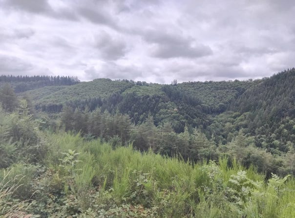 Lacaze, Tarn 81330