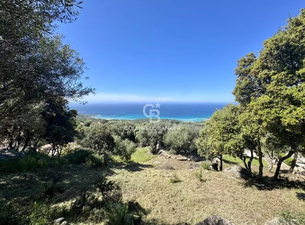 Corbara, Corsica 20256