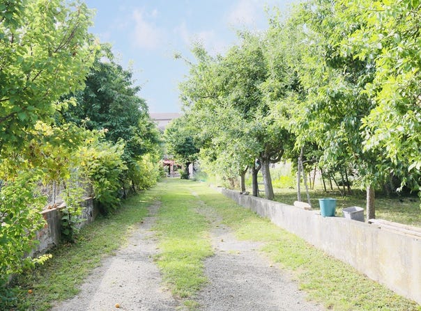 GRISOLLES, Occitanie 82170