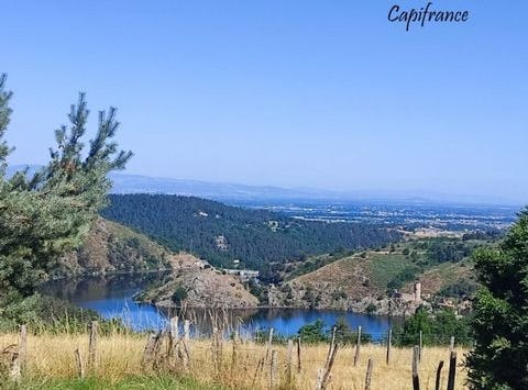 ST VICTOR SUR LOIRE, Rhône-Alpes 42230