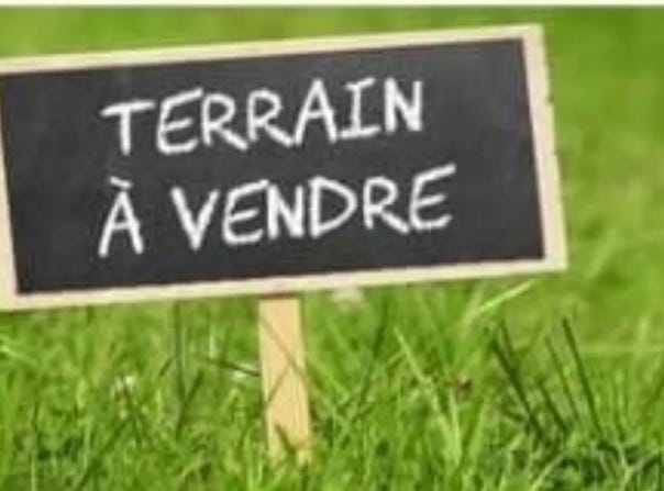 Camors, Brittany 56330
