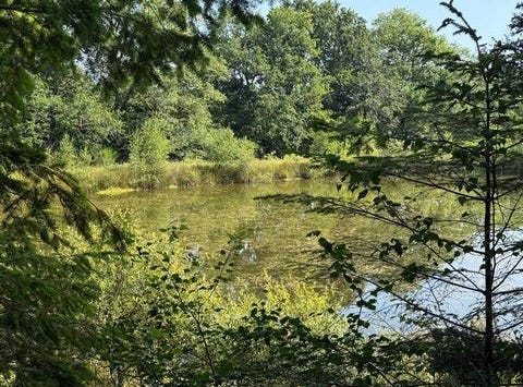 Cieux, Limousin 87520