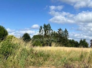 Cours-De-Pile, Aquitaine 24520