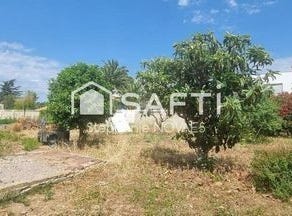 Beziers, Languedoc-Roussillon 34500