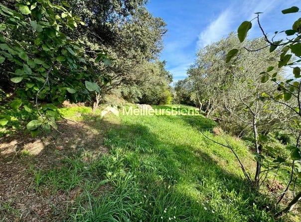 Les Arcs, Var 83460