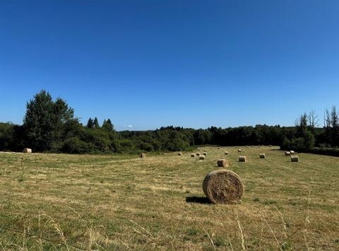 Cussac, Limousin 87150