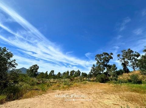 Moncale, Corse 20214