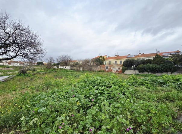 Perpignan, Languedoc-Roussillon 66000