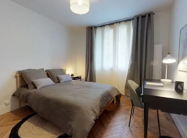 Rue Domer, Lyon, Auvergne-Rhône-Alpes 69007