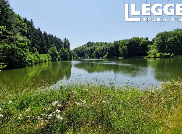 Verneuil-sur-Vienne, Nouvelle-Aquitaine 87430