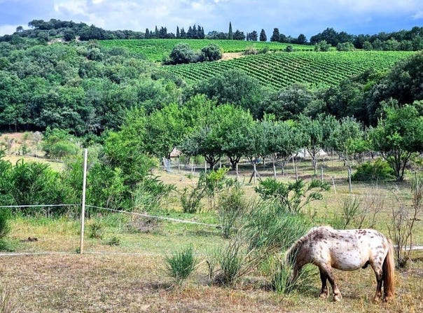 Alairac, Languedoc-Roussillon 11290