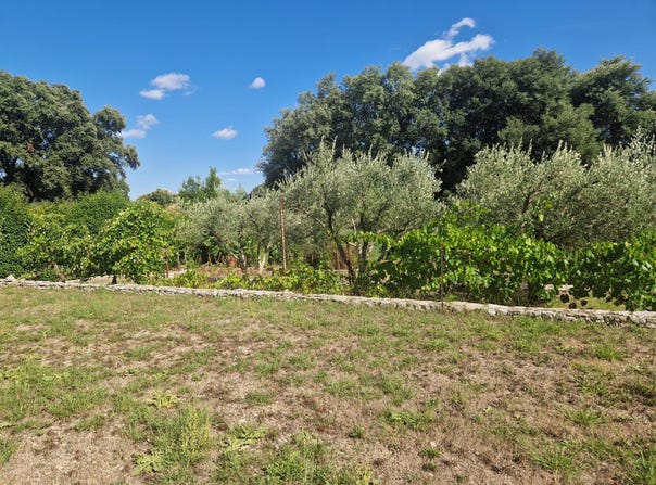 Aspères, Languedoc-Roussillon 30250
