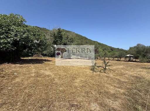 Serra-di-Fiumorbo, Corsica 20243