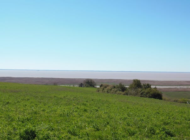 Chenac-Saint-Seurin-d'Uzet, Poitou-Charentes 17120
