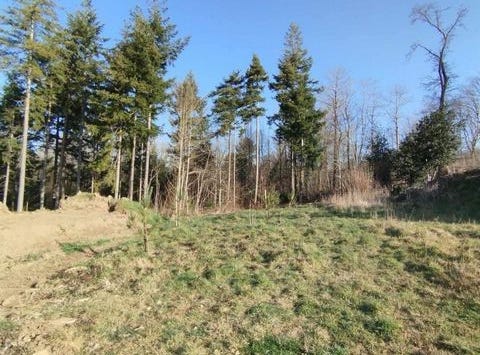 Landevant, Bretagne 56690