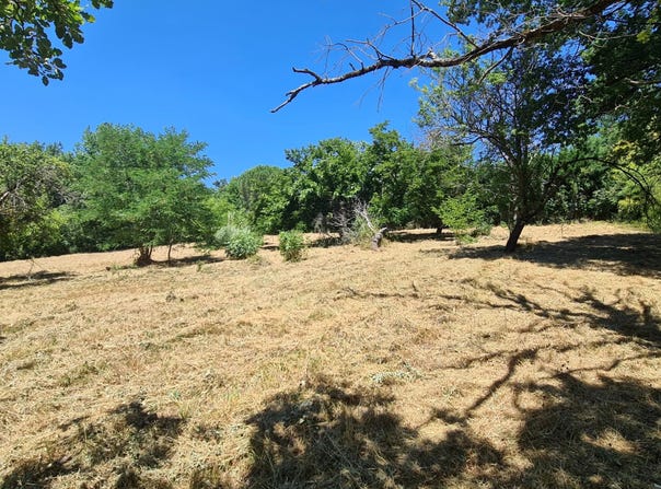 Rouffiac-Tolosan, Haute-Garonne 31180