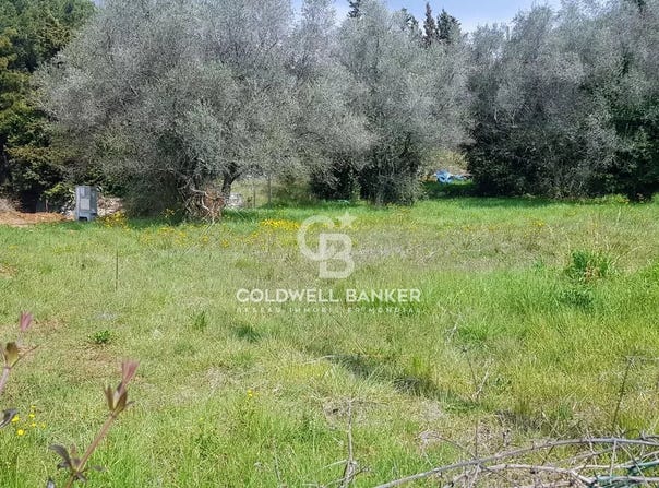 Le Cannet, Alpes-Maritimes 06110