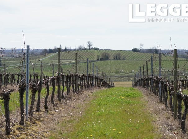 Castelviel, Nouvelle-Aquitaine 33540