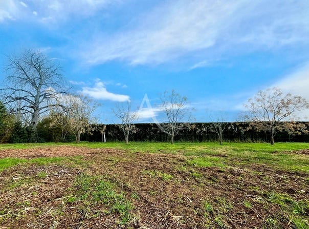BRENS, Occitanie 81600