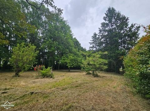 POUZAUGES, Pays de la Loire 85700