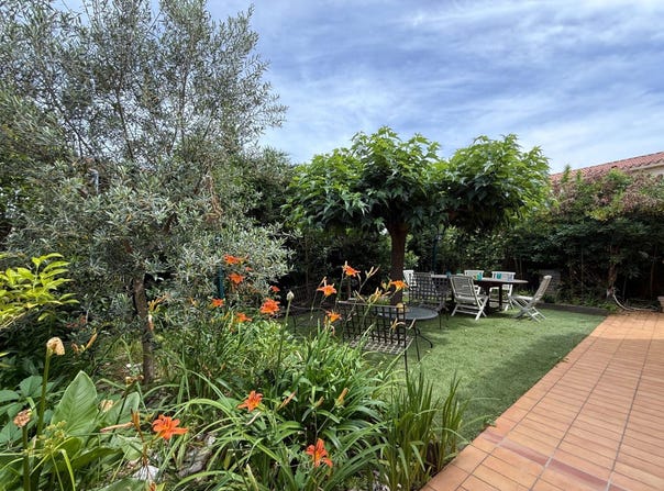 Saint-Cyprien, Languedoc-Roussillon 66750
