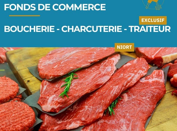 NIORT, Nouvelle-Aquitaine 79000